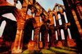 555084 Riveaulx Abbey, Yorkshire, England A4 Limited Edition Watercolour Print
