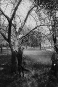 556010 Pat Chasing Cats, 1906, Photo John Boyd PA 60688 A4 Photo Print