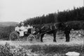 556034 Newfoundland, Photo Reuben T. Parsons PA 501511 A4 Photo Print
