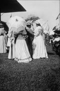 556048 Woodbine, 1905, Attributed To John Micklethwaite PA 155299 A4 Photo Print