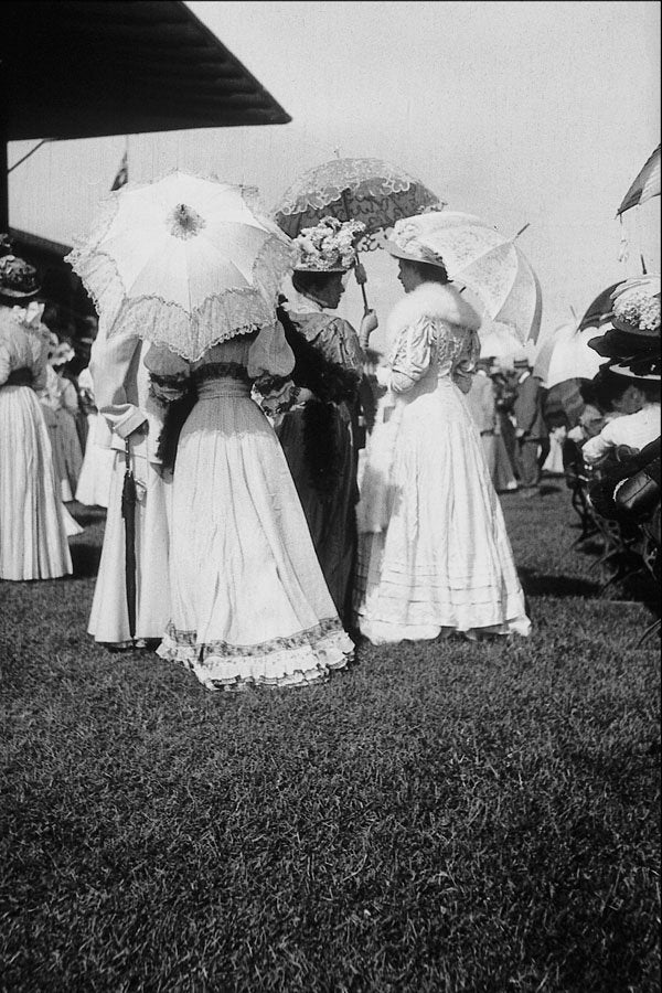 556048 Woodbine, 1905, Attributed To John Micklethwaite PA 155299 A4 Photo Print
