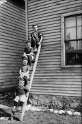 556058 The Quartet, 1913, Photo W.J. Topley PA 10853 A4 Photo Print