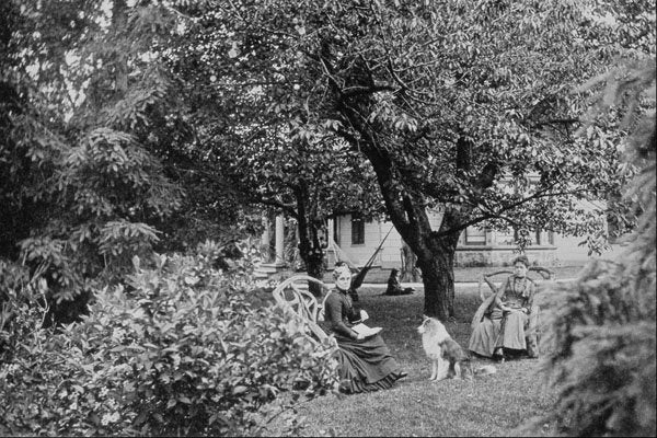 556090 Under The Cherry Tree, Photo A.M. Ross PA 120266 A4 Photo Print