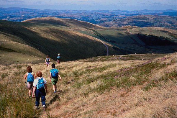557003 Walkers In Welsh Hills, Bala Area, Wales A4 Photo Print