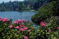557032 English Lake, England A4 Photo Print