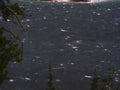 5575001980s 1990s A4 Photo Print