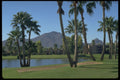 558006 McCormick Ranch, Arizona A4 Photo Print