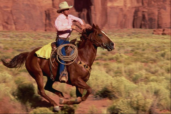 558072 Lone Rider, Monument Valley A4 Photo Print