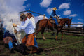 558097 Branding A Calf A4 Photo Print
