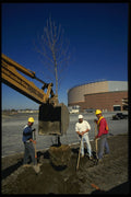 560013 Excavation For Sewers A4 Photo Print