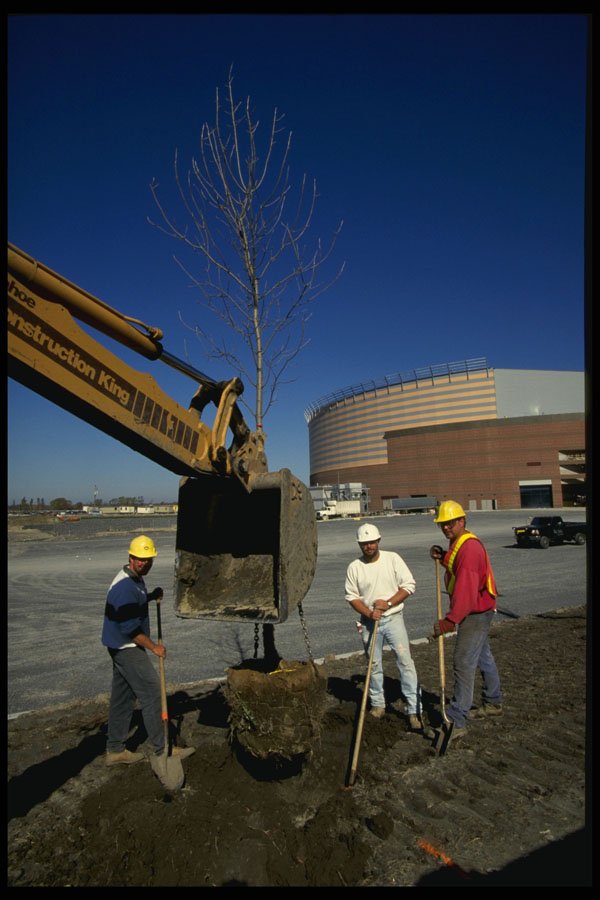 560013 Excavation For Sewers A4 Photo Print