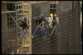 560015 Workers Install Rebar In Preparation For Concrete Pour A4 Photo Print