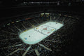 560083 A Sold out Crowd A4 Photo Print