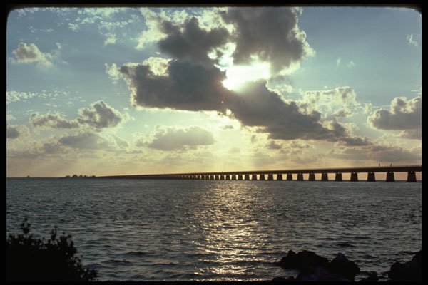 562008 Overseas Highway, Florida Keys A4 Photo Print