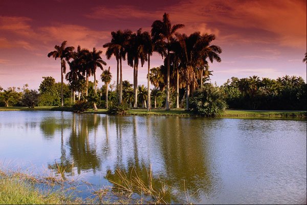 562047 Lovely Manicured Gardens A4 Photo Print