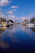 562048 Yachting Capital Of The World A4 Photo Print