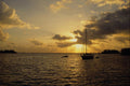 562052 Sunset Celebration A4 Photo Print