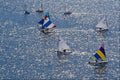 562059 Miami's Annual Regatta A4 Photo Print