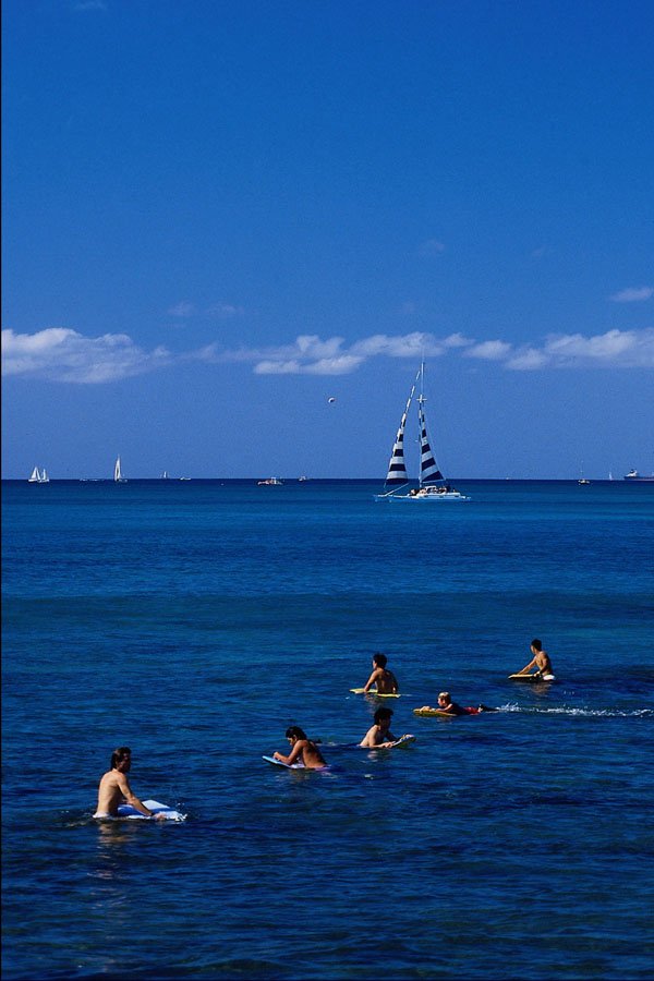 562067 Variety Of Popular Watersports A4 Photo Print