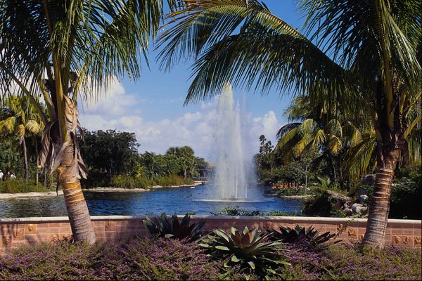 562077 Miami Metro Zoo A4 Photo Print