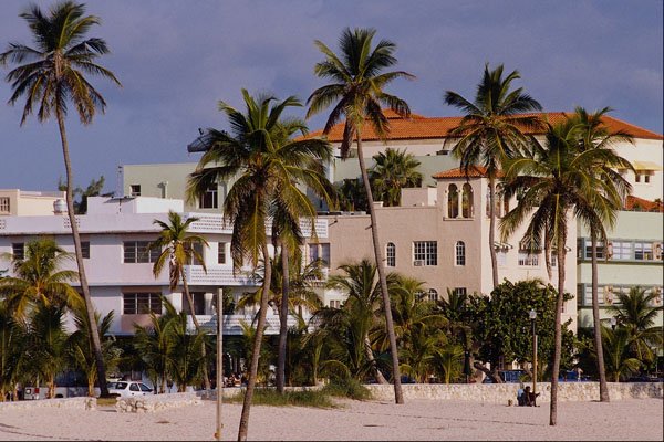 562092 Attractive South Beach A4 Photo Print