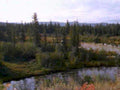 5648001980s 1990s A4 Photo Print