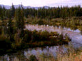 5649001980s 1990s A4 Photo Print