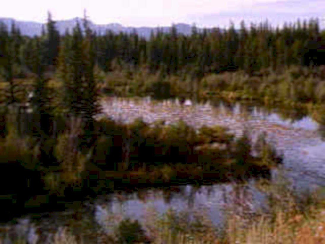 5649001980s 1990s A4 Photo Print