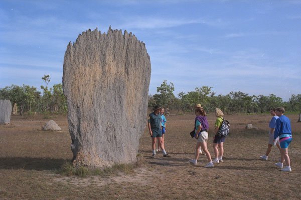 567001 Magnetic Termite Mound, Northern Territories, Australia A4 Photo Print