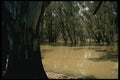 567019 Billabong, Outback, Australia A4 Photo Print
