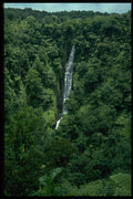 567033 Jungle Waterfall, Western Samoa A4 Photo Print