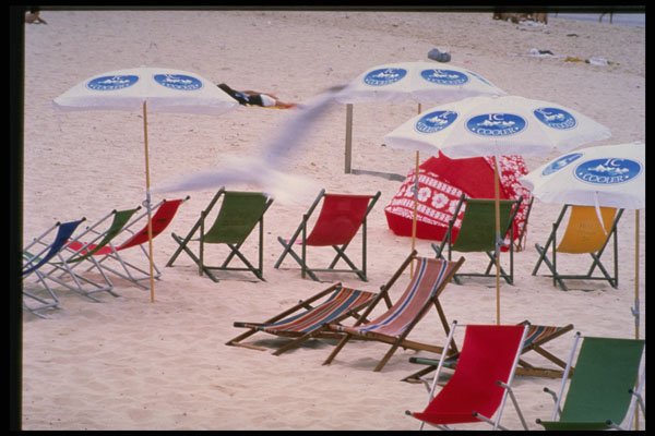567041 Bondi Beach, Sydney, Australia A4 Photo Print