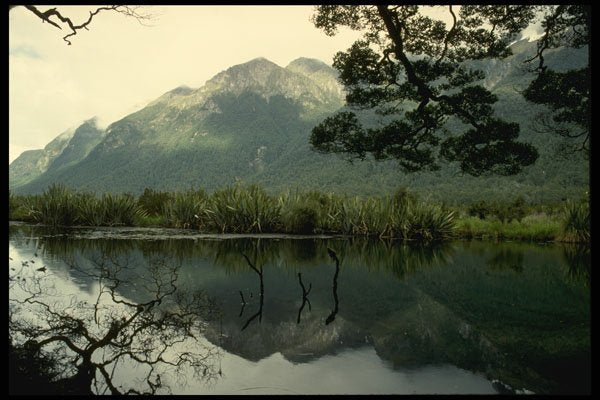 567044 Milford Sound, New Zealand A4 Photo Print