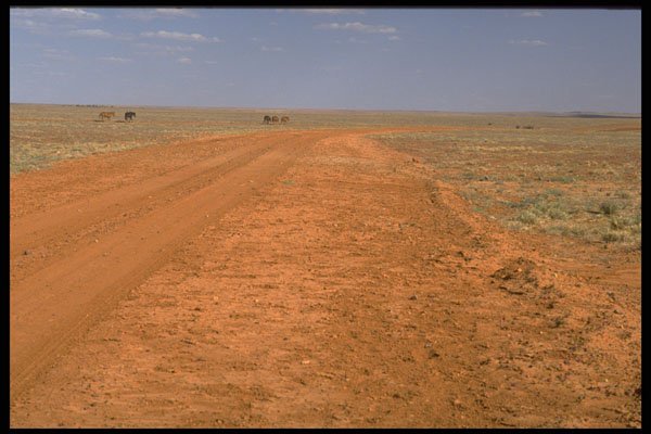 567059 The Outback, South Australia A4 Photo Print
