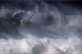 568060 Big Day At Hookipa, Alex Aguera A4 Photo Print