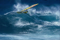 568084 Big Surf In Big Waves, Hookipa, Maui, Polakov A4 Photo Print