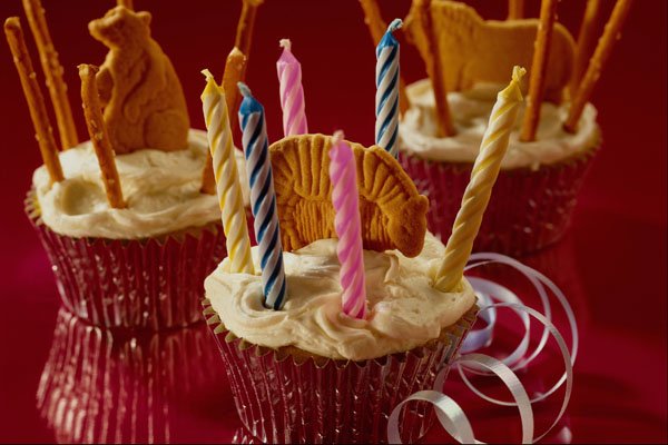 569034 Party cupcakes A4 Photo Print