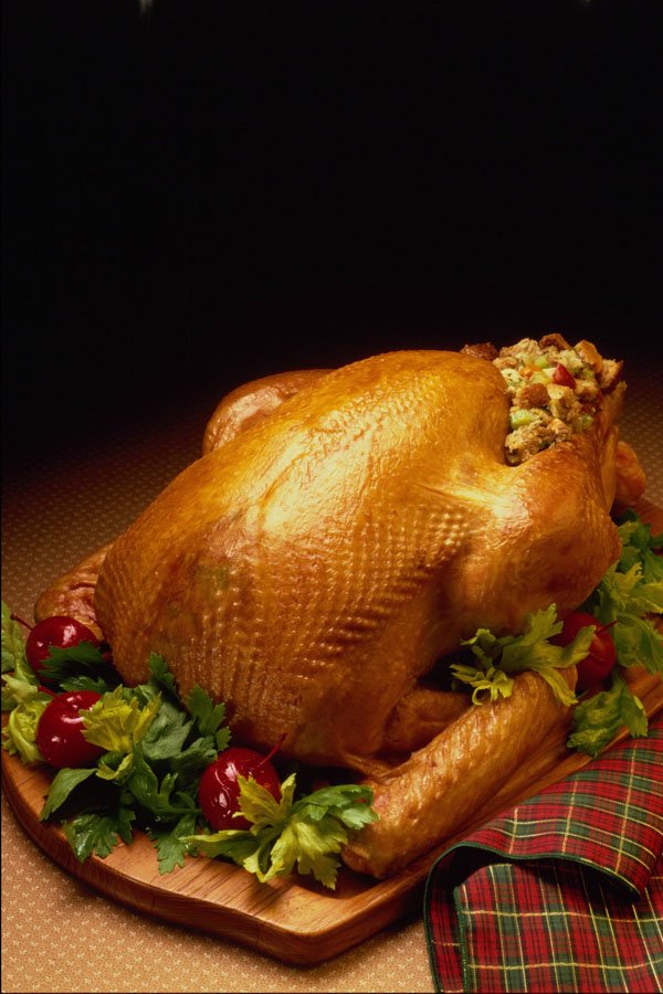 569092 Roast Turkey A4 Photo Print