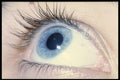 570007 Blue Eye A4 Photo Print