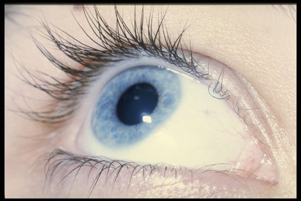570007 Blue Eye A4 Photo Print