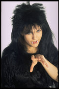 570011 Vampire A4 Photo Print