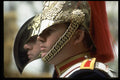 570023 Farrier Blues And Royals A4 Photo Print