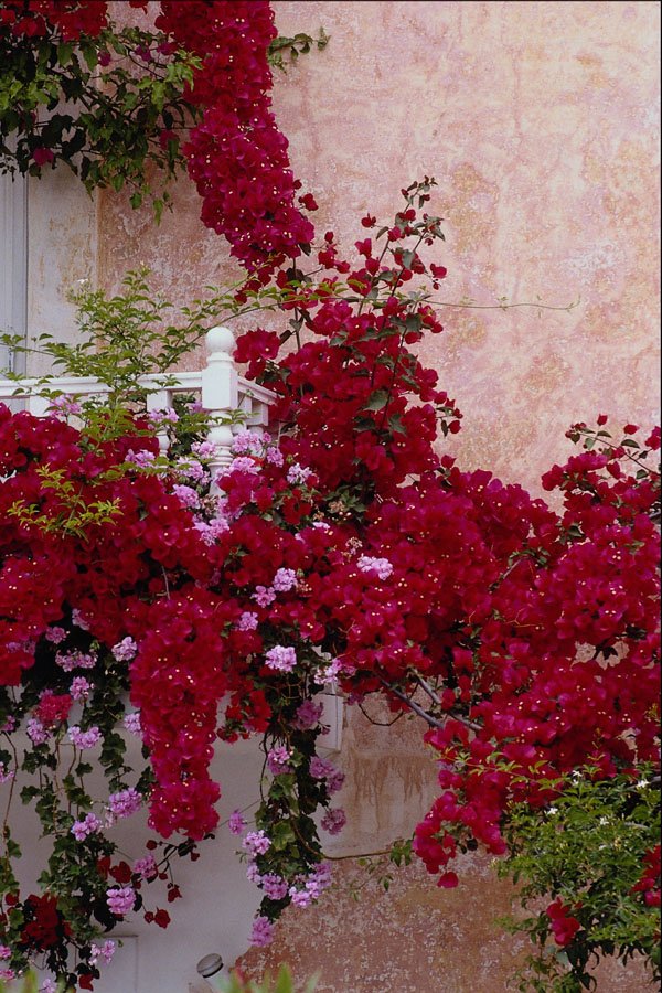 571015 Naoussa, Greece A4 Photo Print