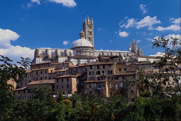 571046 View Of Cathedral Through Trees, Siena, Italy A4 Photo Print