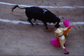 571075 Bullfight, Madrid, Spain A4 Photo Print