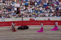 571076 Bullfight, Madrid, Spain A4 Photo Print