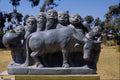572048 The Ceremony Of The Madzima Bull, Zimbabwe A4 Photo Print