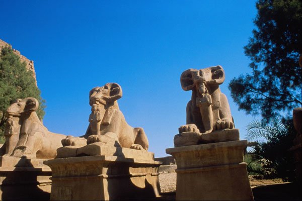 572066 Ramsphinxes At Entrance To Karnak Temple, Egypt A4 Photo Print