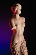 572076 Venus A4 Photo Print