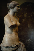 572083 Venus De Milo, Louvre, Paris, France A4 Photo Print
